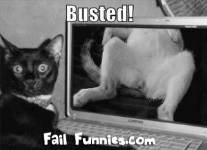 lolcat-gets-busted