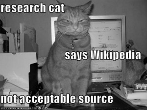 research-cat-lolcat-706798