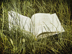 Un livre ouvert dans l’herbe