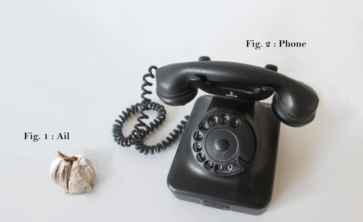 Photo d’un ail et d’un vieux téléphone : ail-phone.