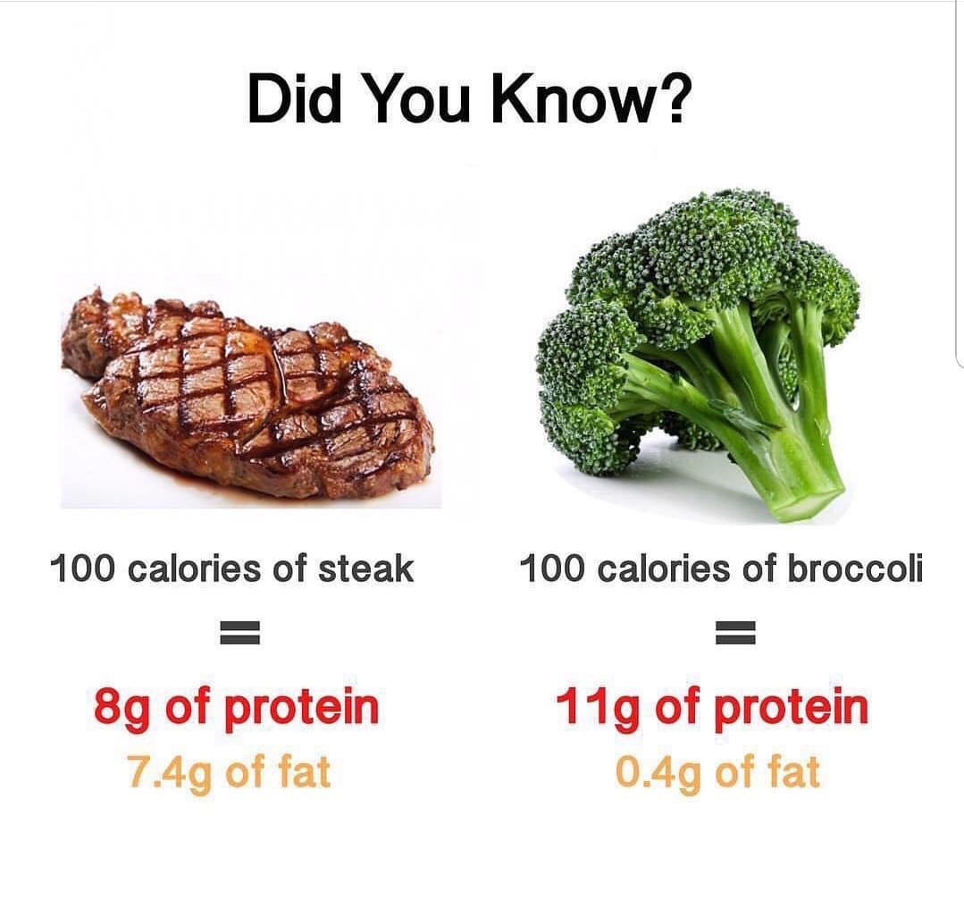 Brocoli vs steak