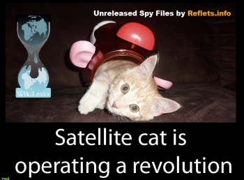 satelite_spycat