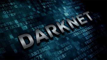 darknet-image-735