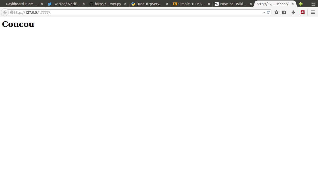 Vous contemplez le Web de 1995