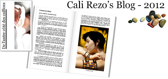 Bannière pour la préface du blog papier Cali Rezo 2012 - par Chloé