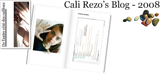 Bannière pour la préface du blog papier Cali Rezo 2008 - par Mina
