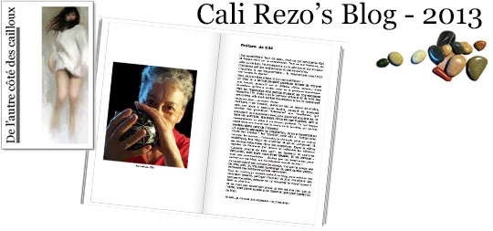 Bannière pour la préface du blog papier Cali Rezo 2013 - par Kiki