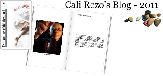 Bannière pour la préface du blog papier Cali Rezo 2011 - par Jo